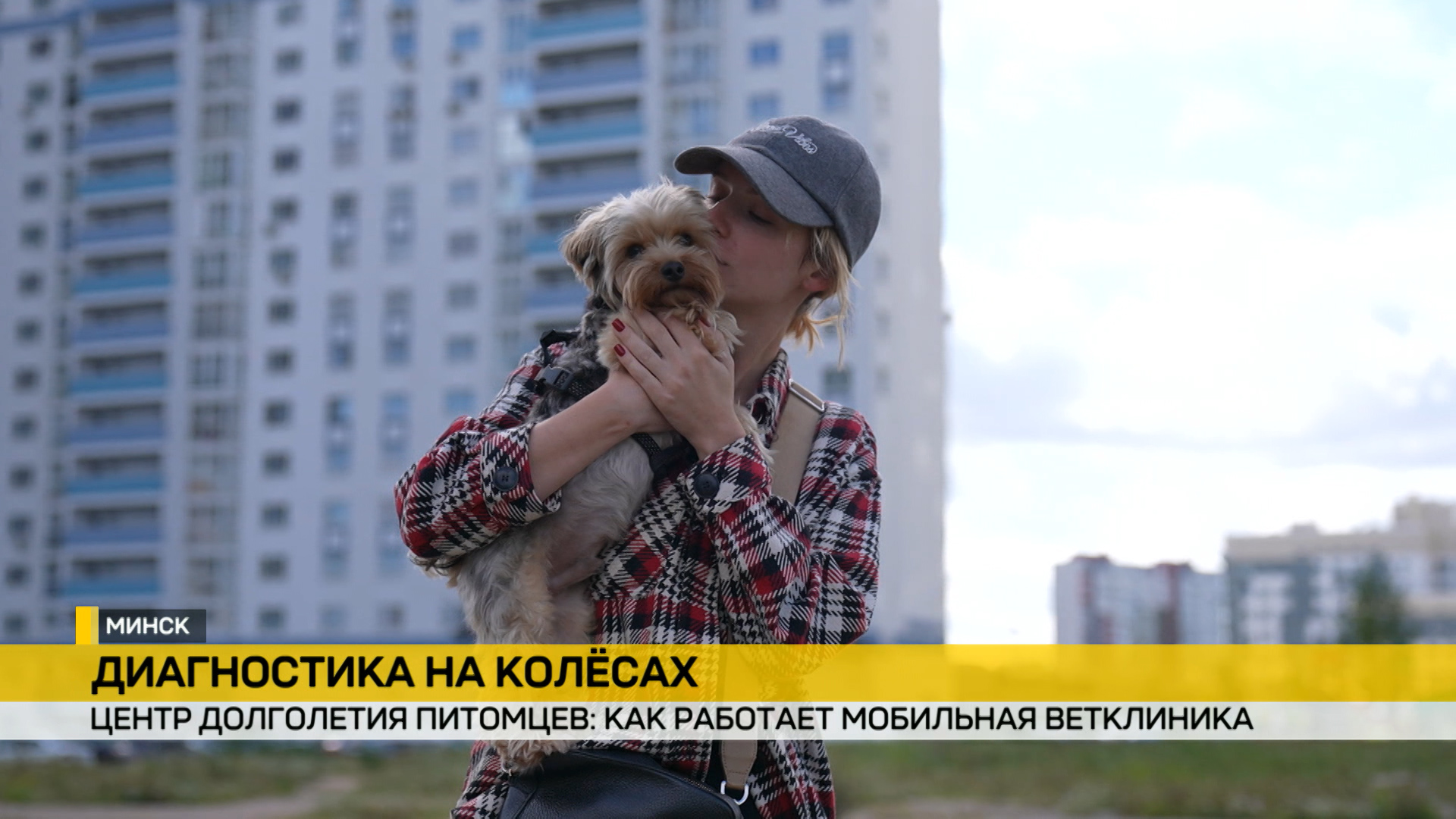В Беларуси работает центр долголетия домашних питомцев